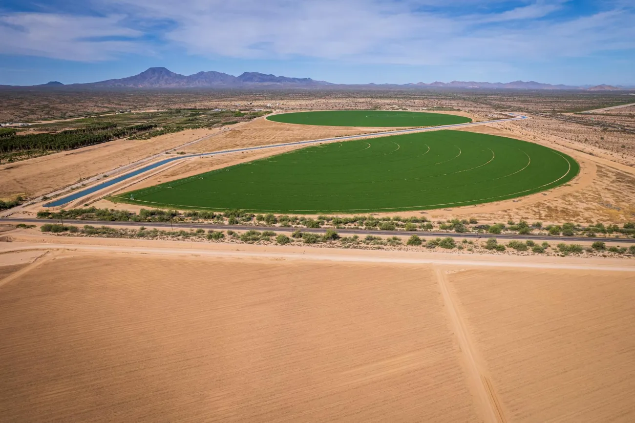 Desert farm. Credit: Mark Stebnicki via Pexels