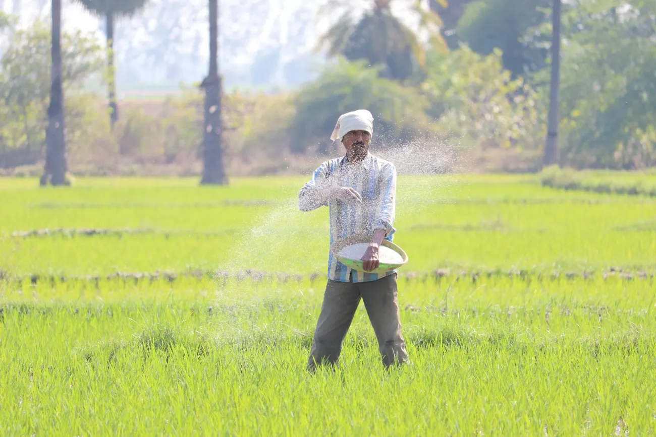 Farmer spreading fertilizer. Credit: Vinay kumar Bairi via Pexels