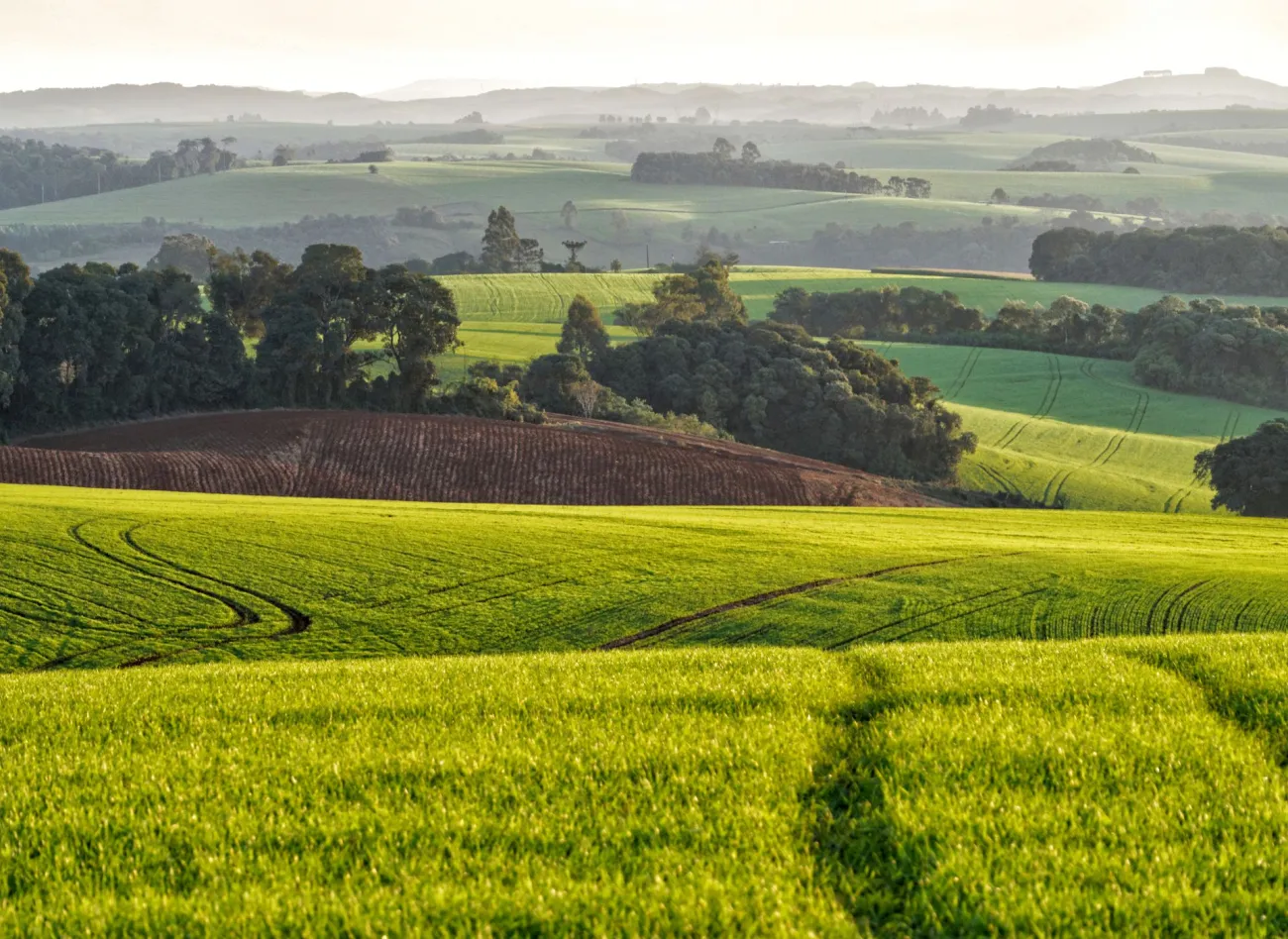 Rolling farming landscape. Credit: André Ulysses De Salis via Pexels