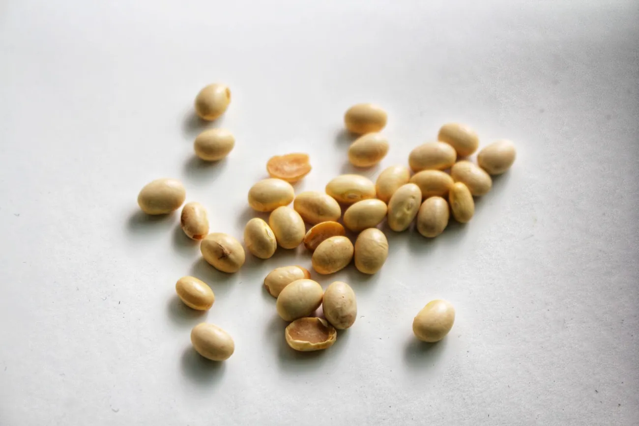 soy on white background. Credit: MOROCCAN PHOTOGRAPHER via Pexels 