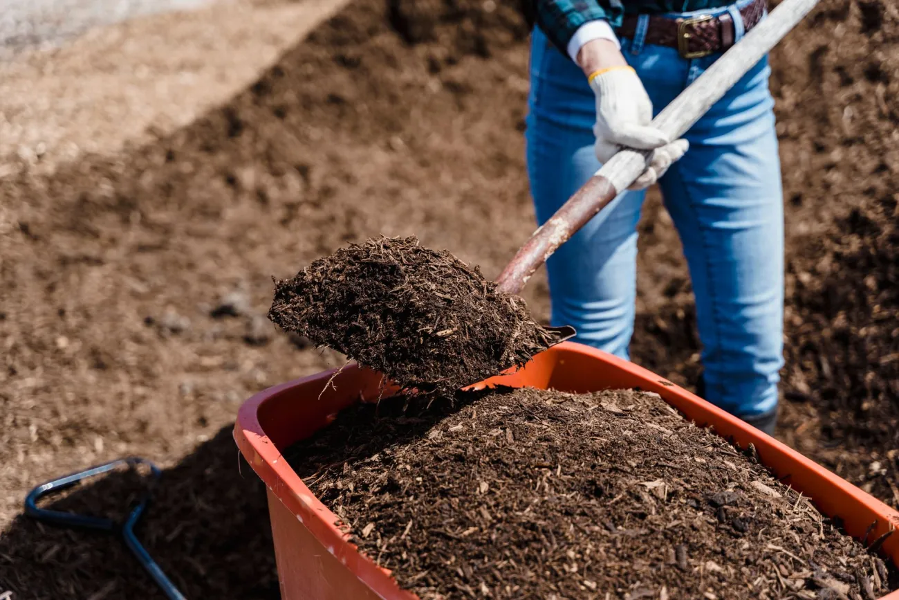 Composting. Credit: Greta Hoffman via Pexels