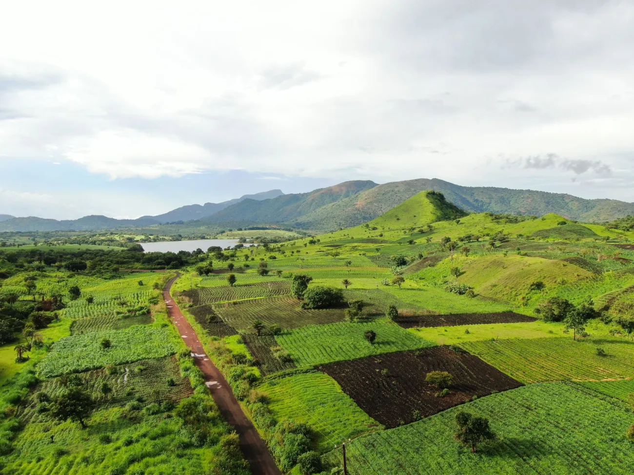 African fields. Credit: Zedou Njankouo via Pexels