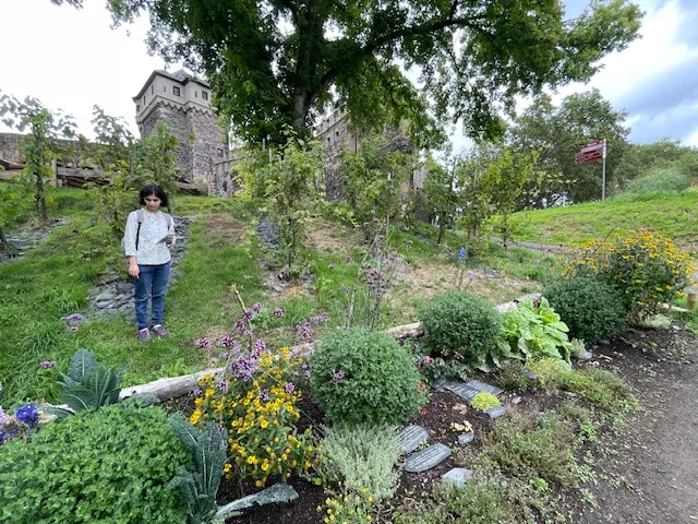 Photo from the author's project on Food policy councils