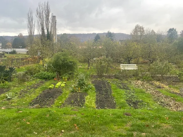 Photo from the author's project on Food policy councils
