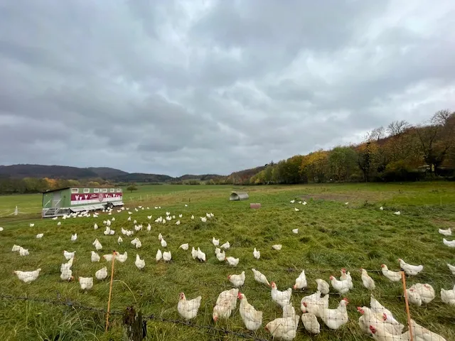 Photo from the author's project on Food policy councils