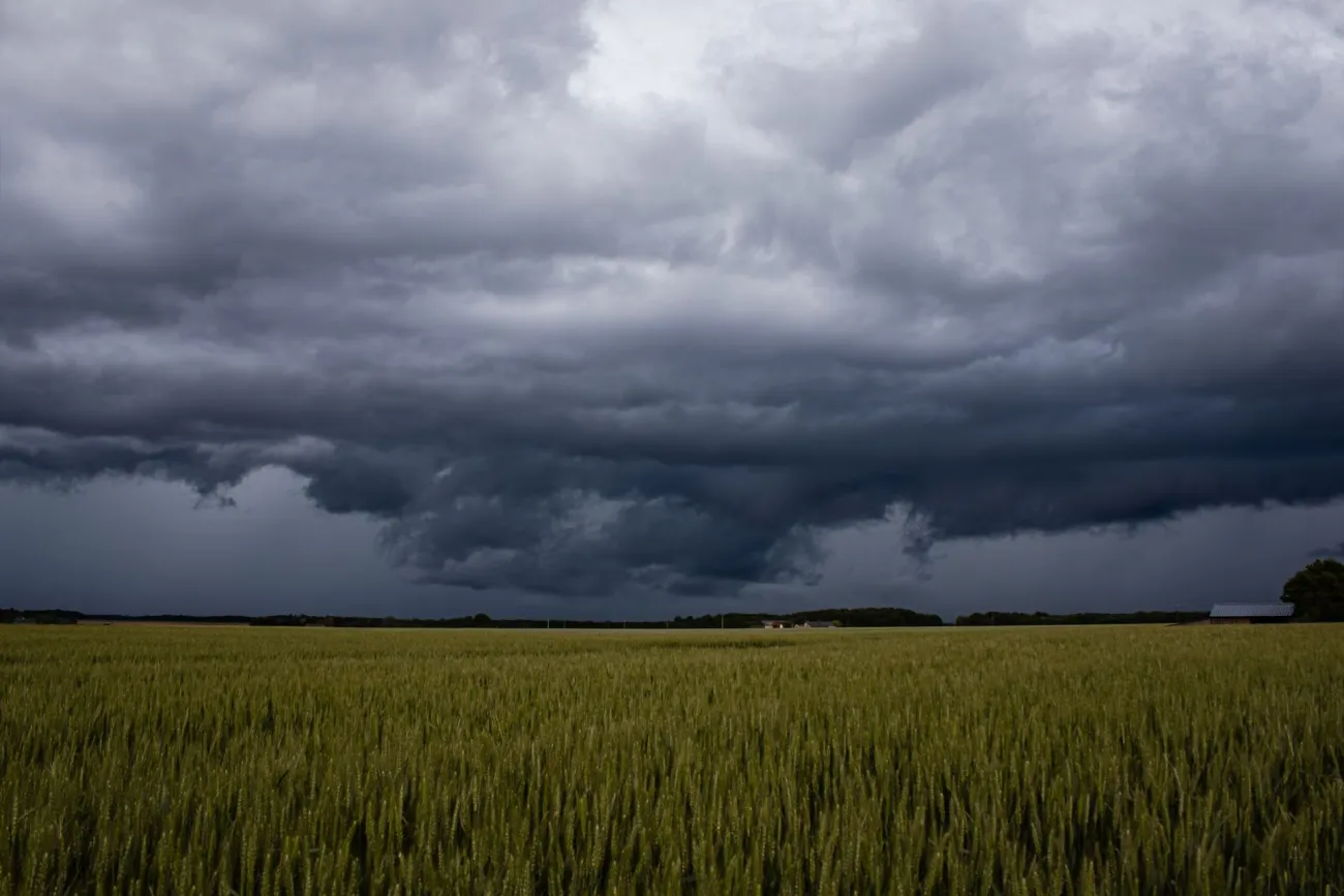 Rainy fields. Credit: Guillaume Boulanger via Pexels