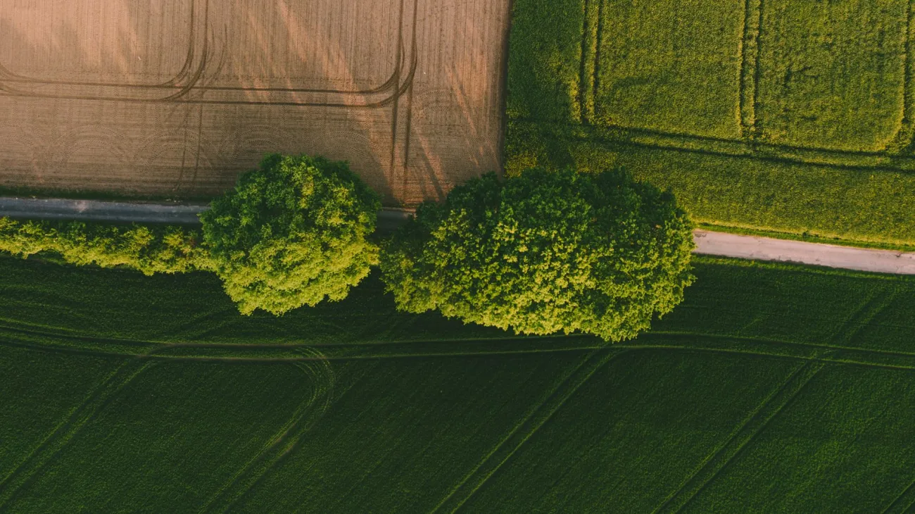 Aerial photo of farmland. Credit: James Owen via Pexels
