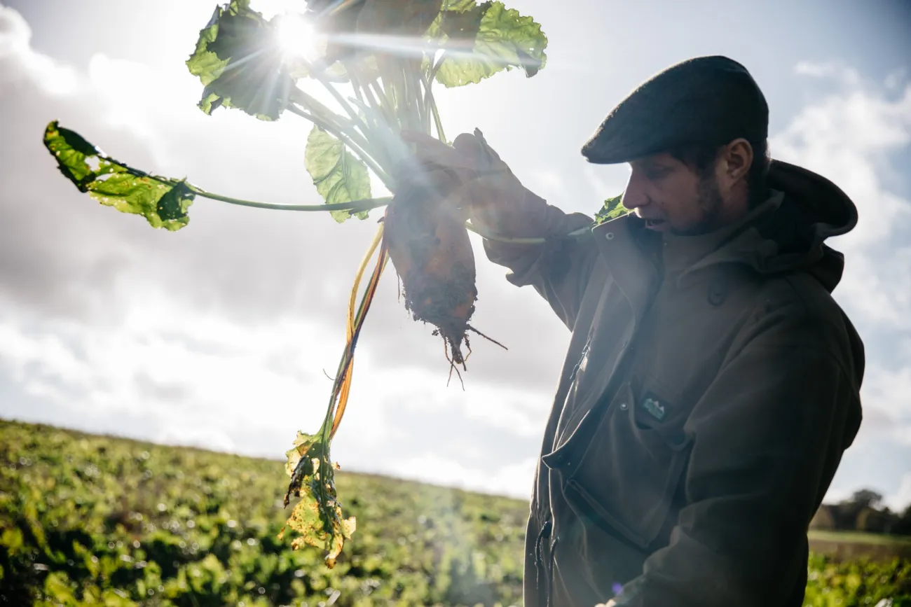 A farmer holds up a root vegetable. Photo by Alexander Turner.