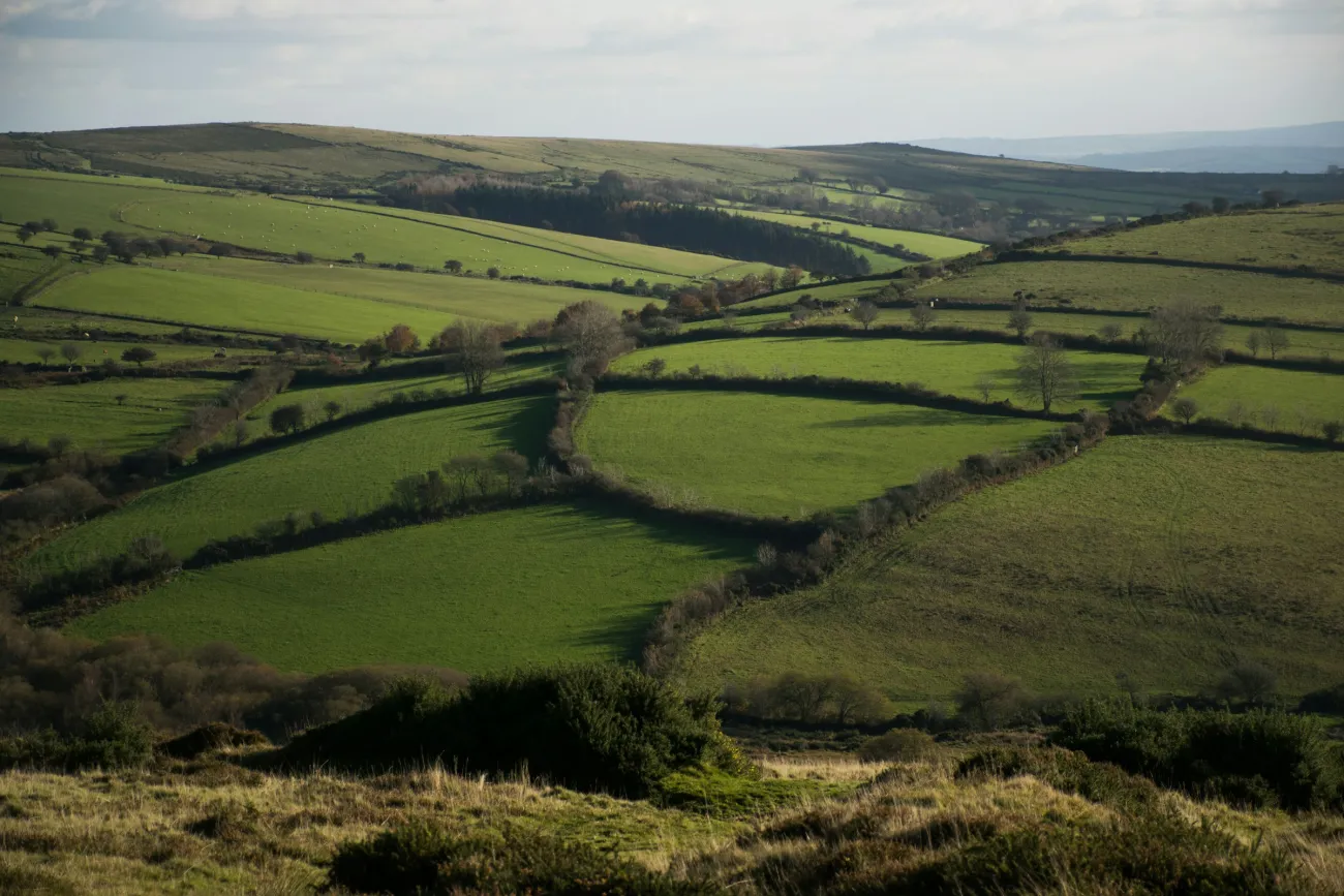 Green countryside in England. Photo by Veronica White via Unsplash.