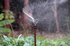 Photo credit: Neil Palmer, CIAT, Flickr, Creative Commons License 2.0