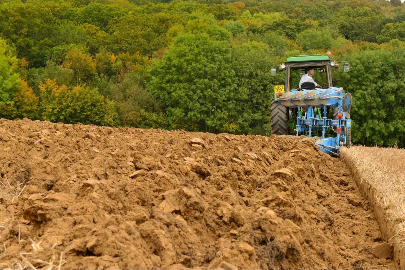 Image: Winniepix, The ploughing match-19.jpg, Flickr, Creative Commons Attribution 2.0 Generic