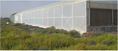 Image: Raffa be, Seawater Greenhouse in Tenerife two years after being installed, Wikimedia Commons, Creative Commons Attribution 3.0 Unported