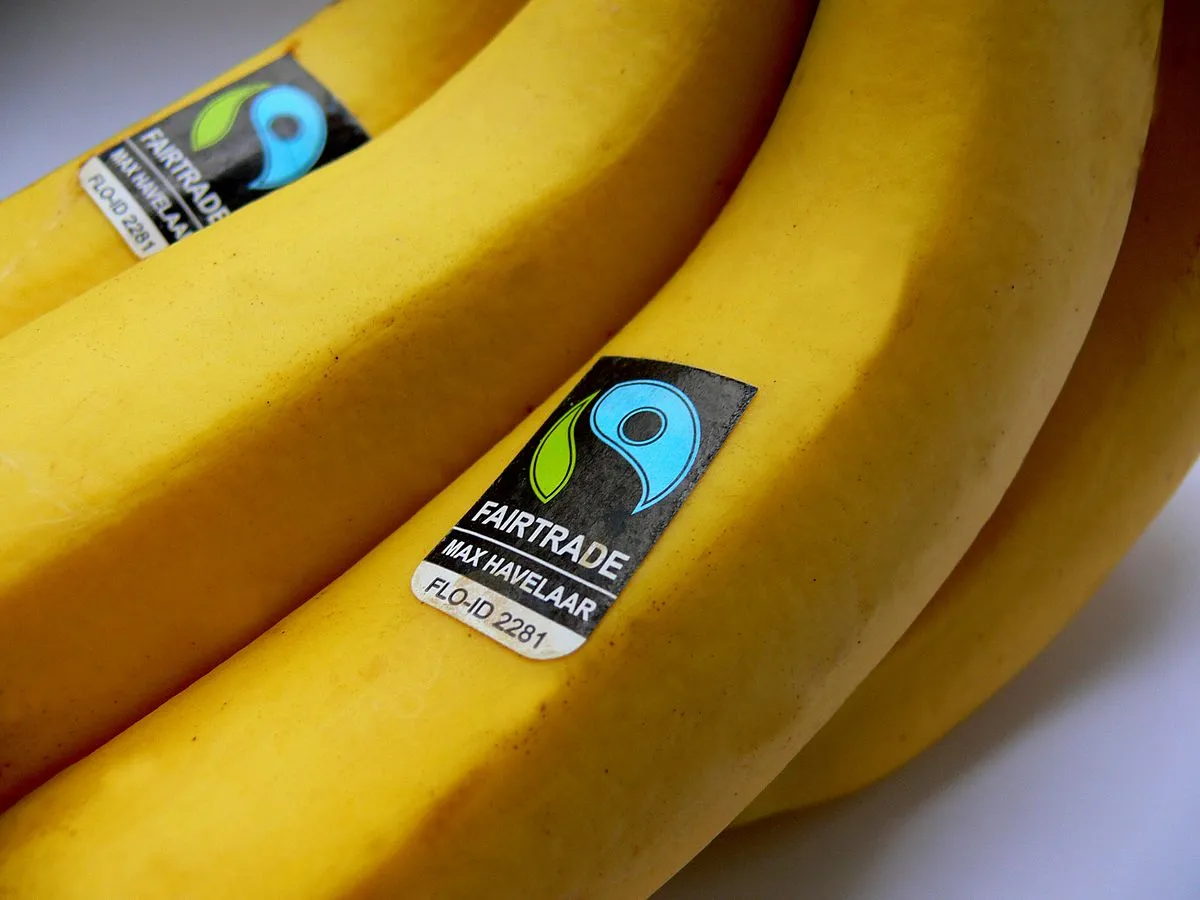 Image: Maxhavel, Max Havelaar Bananen, Wikimedia Commons, Public domain
