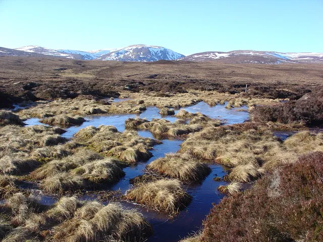 Image: Alasdair MacDonald, Wet peat land, Geograph, Creative Commons Attribution-ShareAlike 2.0 Generic 