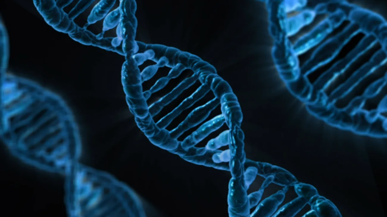 Image: Виталий Смолыгин, Structure of DNA, Public Domain Pictures, CC0 Public Domain