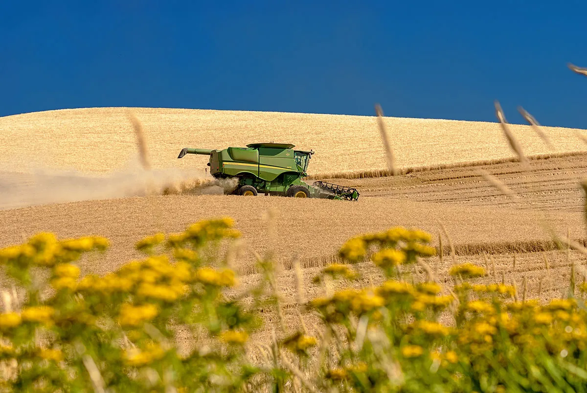 Image: Charles Knowles, Eastern Washington wheat harvest, Wikimedia Commons, Creative Commons Attribution 2.0 Generic