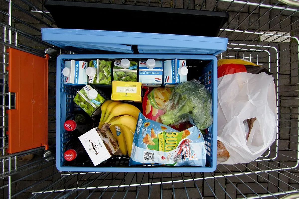 Image: Sander van der Wel, Full shopping cart (seen from above), Wikimedia Commons, Creative Commons Attribution-Share Alike 2.0 Generic