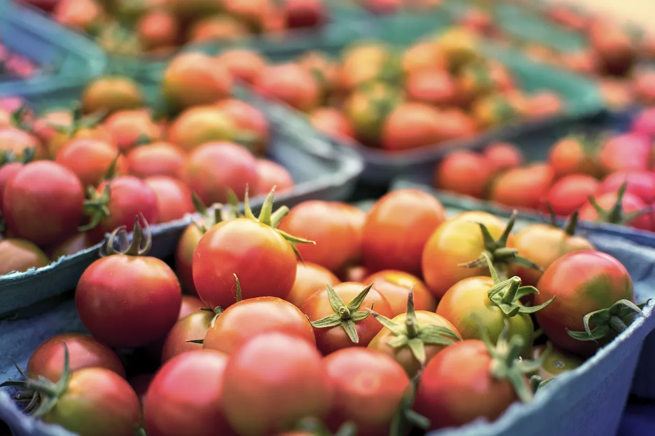 Image: Max Pixel, Produce Grocery Farm, CC0 Public Domain