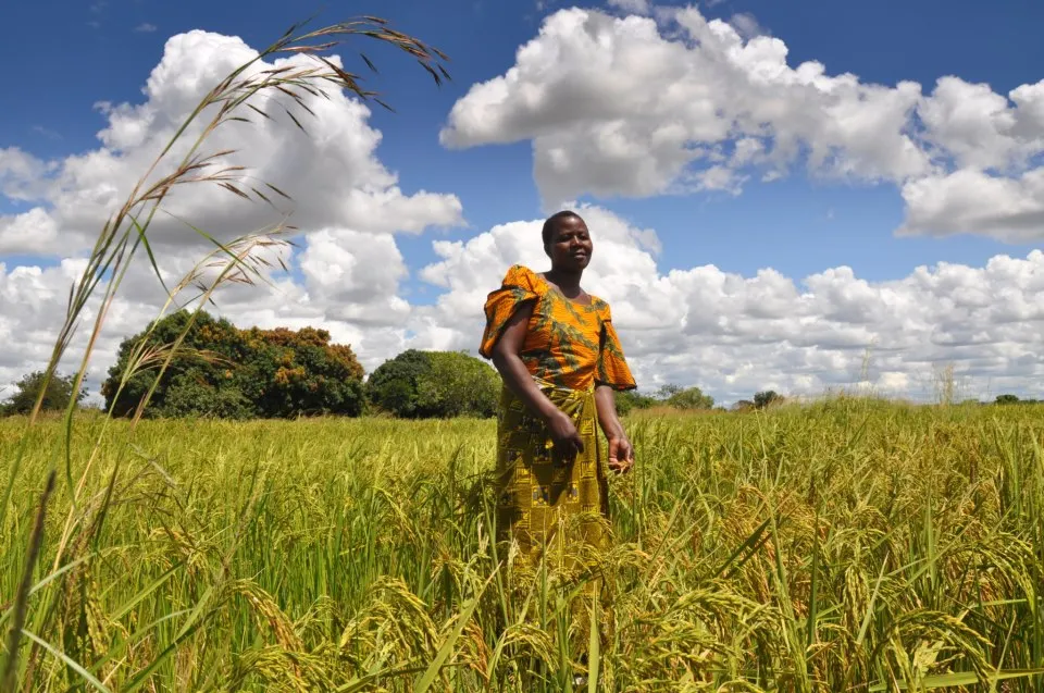 Photo: Oxfam East Africa, Sustainable food for all, Flickr, Creative Commons License 2.0 generic.