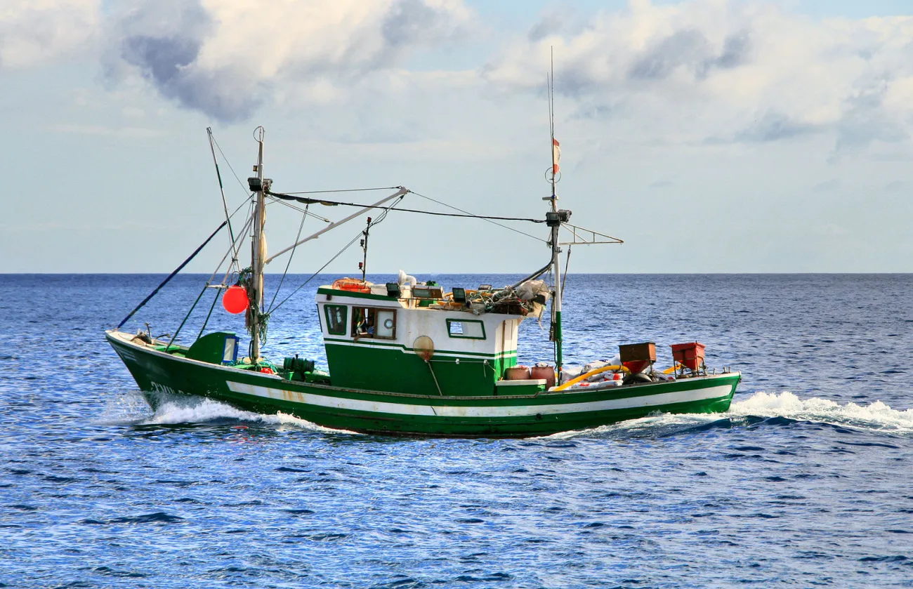 Image: Ian Sherlock, Fishing boat leaving, Canary Islands, Wikimedia Commons, Creative Commons Attribution-Share Alike 2.0 Generic