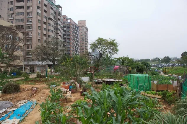 Photo: Shou-Hui Wang, The farm inside the city, Flickr, Creative Commons licence 2.0