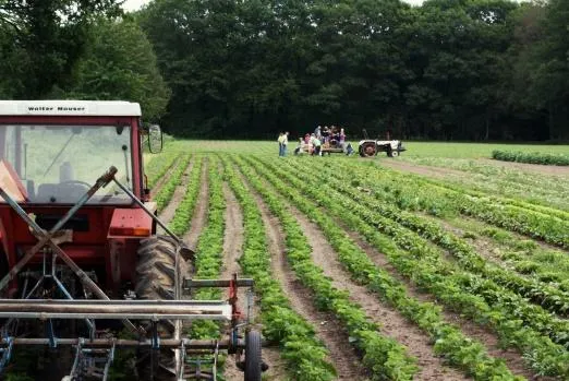 Photo, Suzette, Visiting an organic farm, Flickr, Creative Commons licence 2.0
