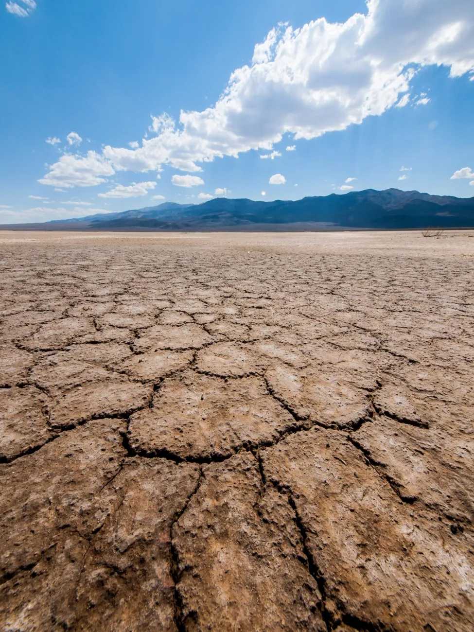 Photo: William Warby, Scorched Earth, Flickr, Creative Commons Licence Attribution 2.0 Generic