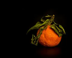 Photo credit: Dean McCoy, Flickr, Creative Commons License 2.0