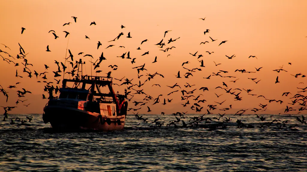 Image: Hernán Piñera, Regreso / Return, Flickr, Creative Commons Attribution-ShareAlike 2.0 Generic (CC BY-SA 2.0)