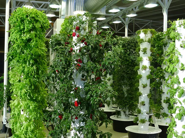 Image: chipmuk_1, 20120208_1648 Chicago O'Hare Airport Vertical Farm, Flickr, Creative Commons Attribution-ShareAlike 2.0 Generic 