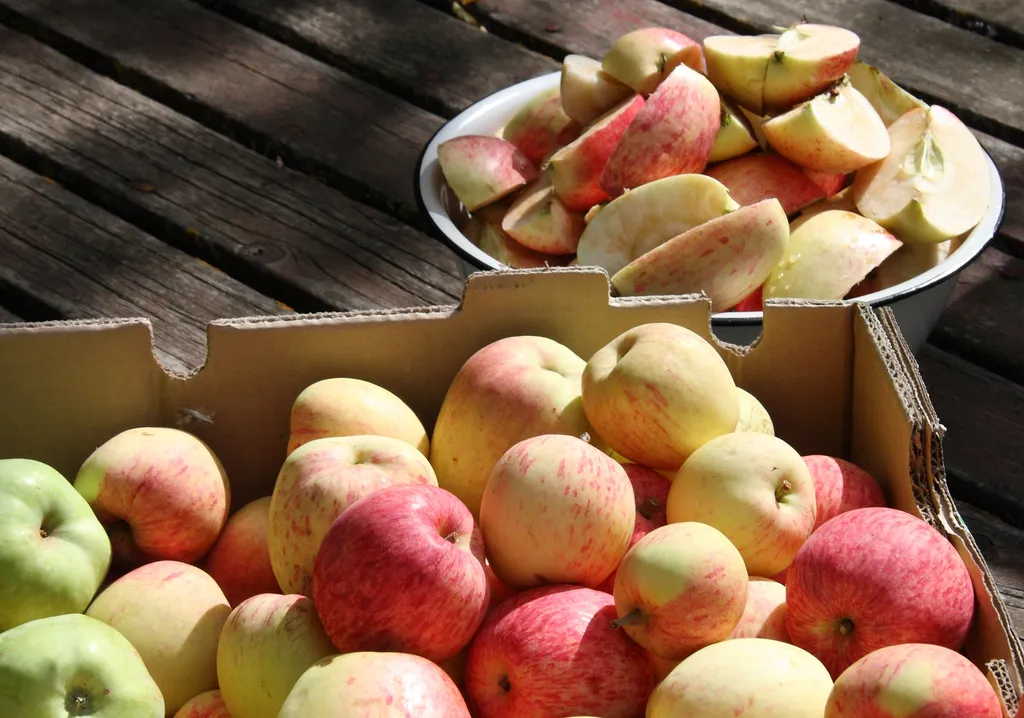 Image: Leslie Main Johnson, abundant harvest-local apples, Flickr, Creative Commons Attribution 2.0 Generic
