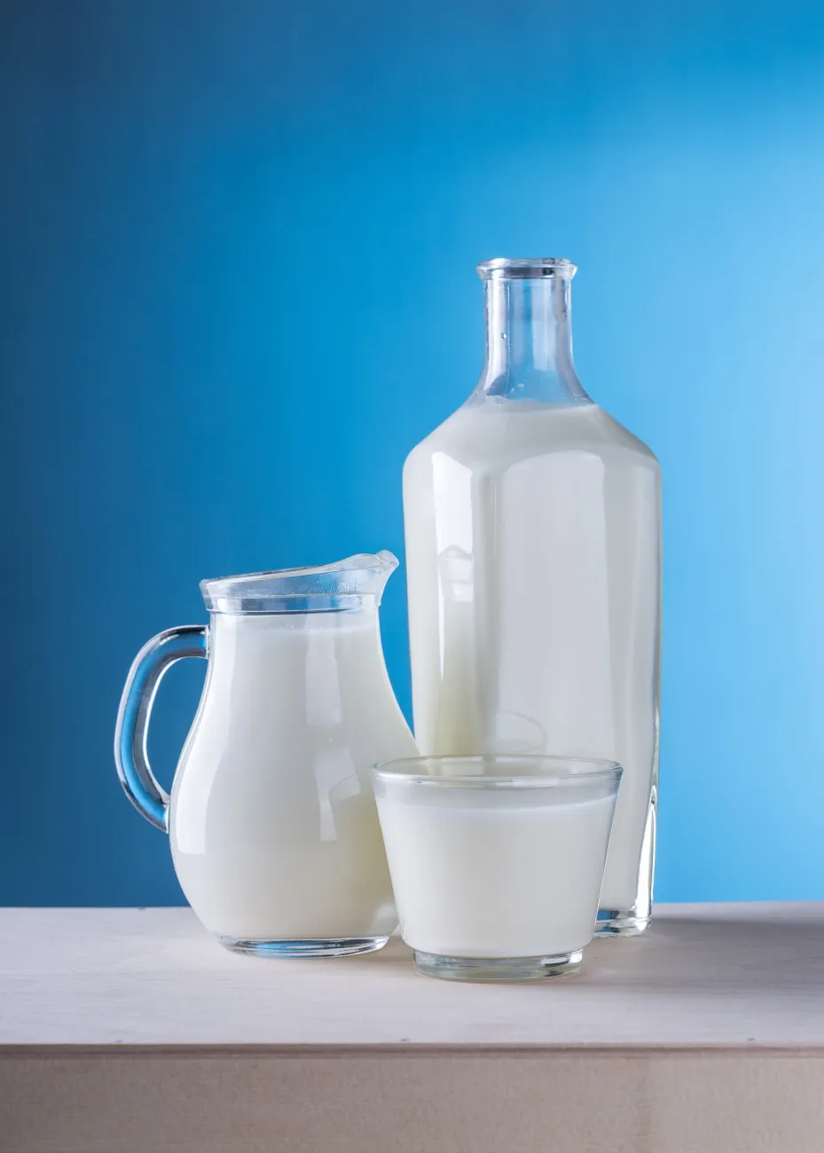 Image: World’s Direction, Milk, Flickr, Public Domain
