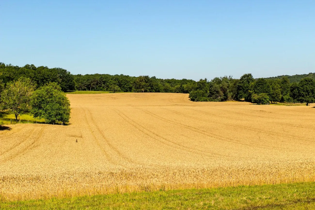 Image: Alberto Cruz, Farms in Périgord, France, Flickr, Creative Commons Public Domain Dedication