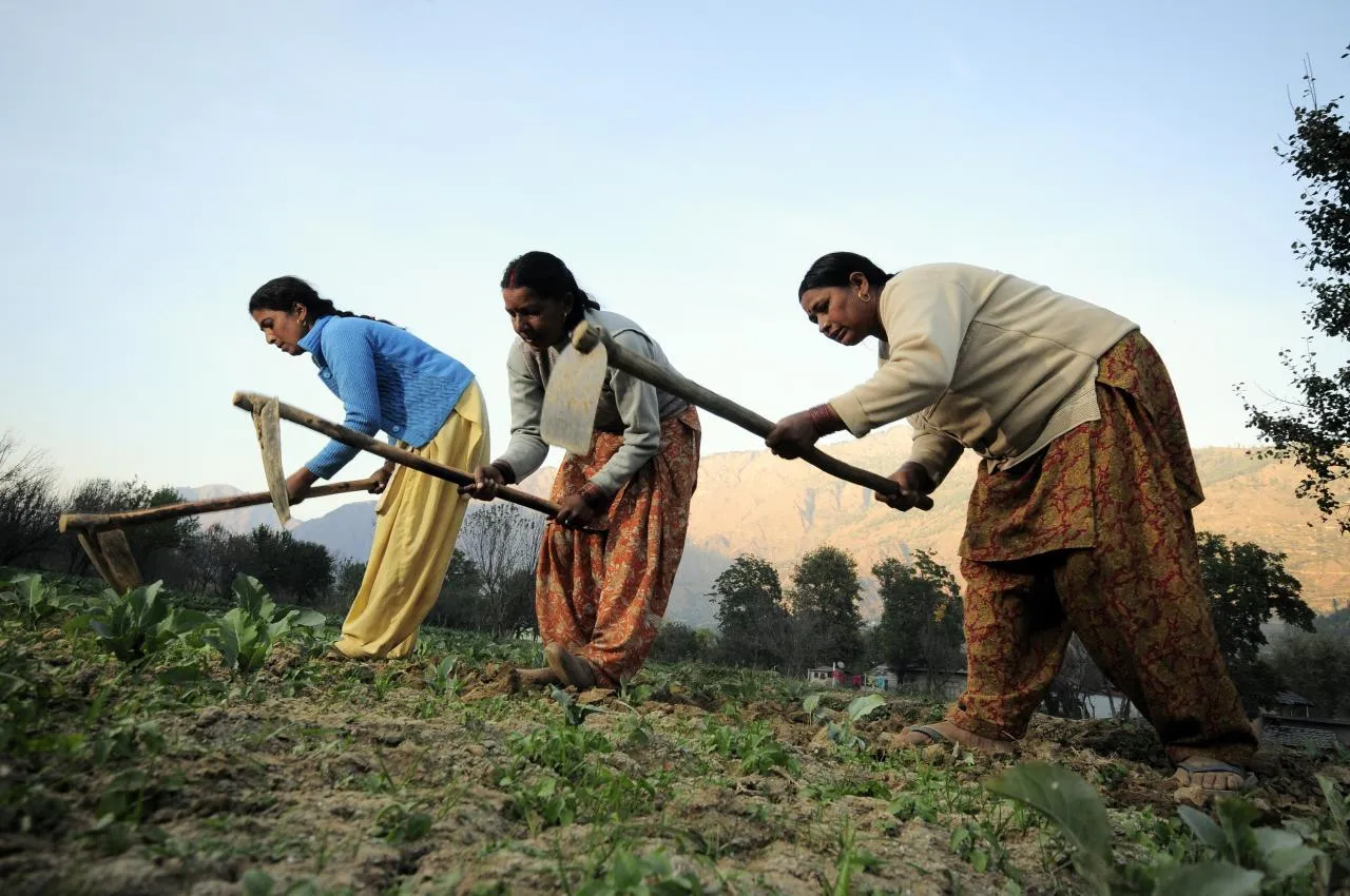 Photo: NP Himachal Pradesh 68, CIAT, Flickr, CC BY-SA 2.0