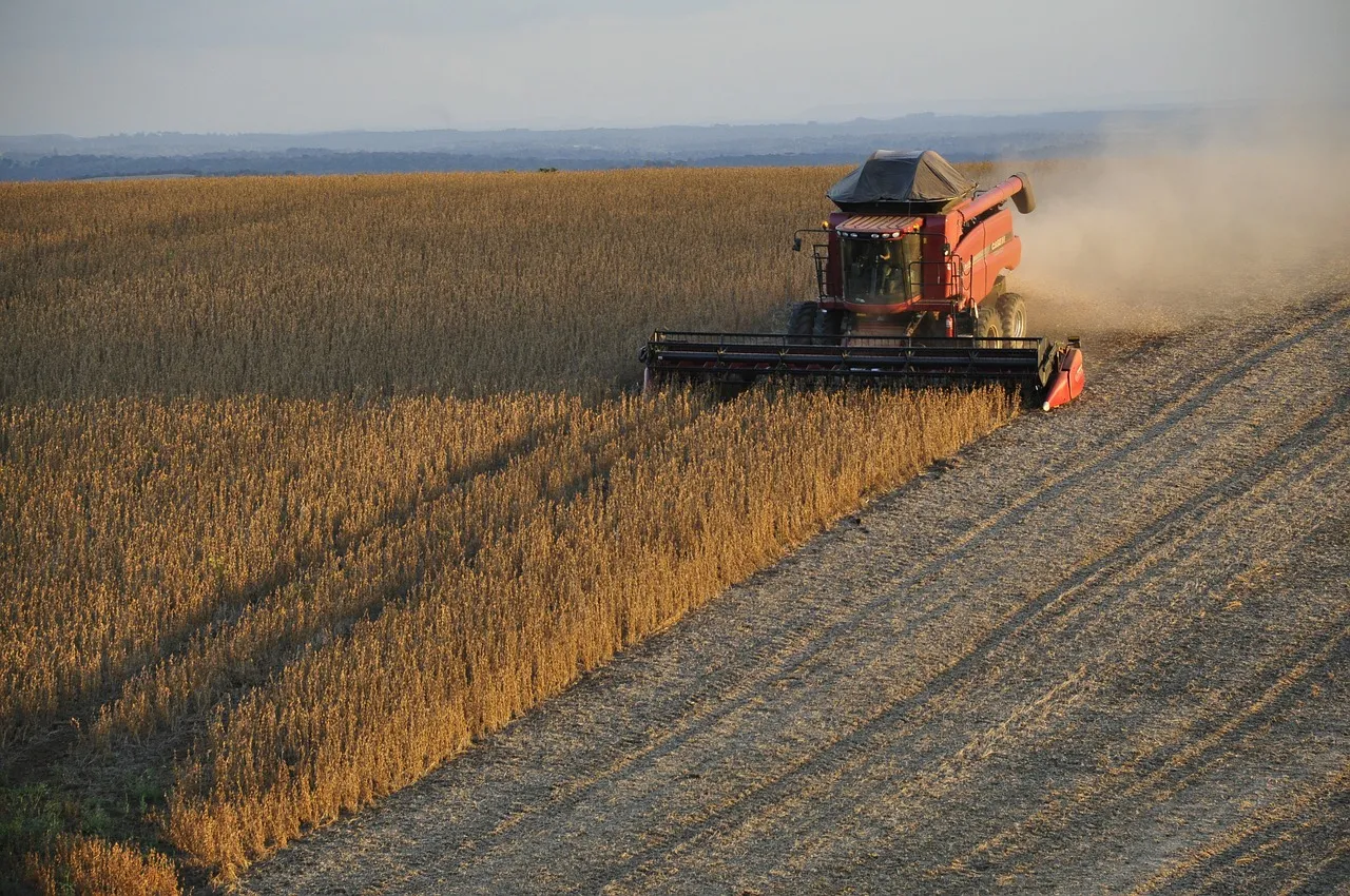 Image: charlesricardo, soybeans harvester grains Brazil, Pixabay, Pixabay license