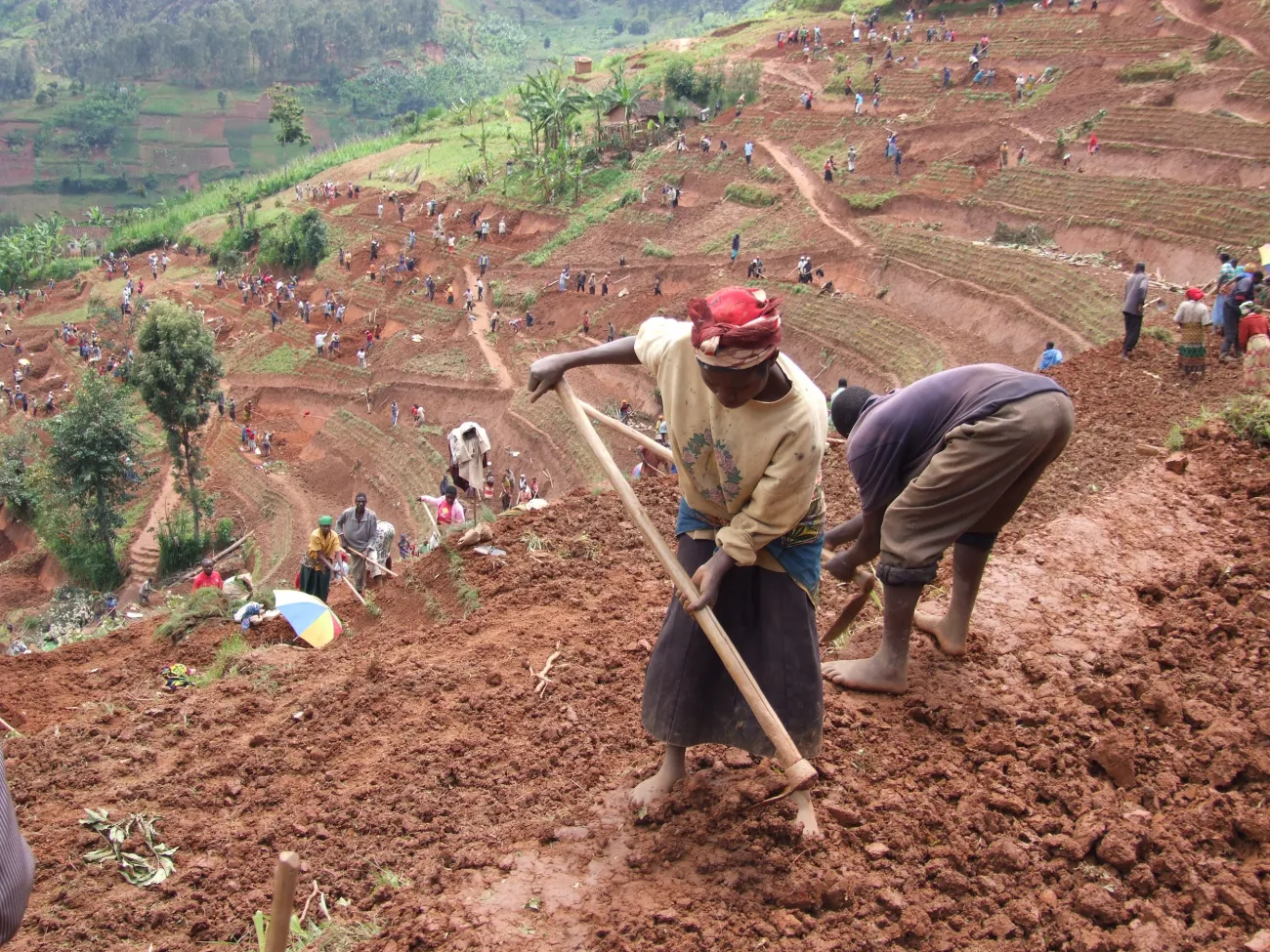 Photo credit: DFID - UK Department for International Development, Women and men in northern Rwanda work on a public works site, building terraces to prevent soil erosion, Flickr, Creative Commons Attribution-ShareAlike 2.0 Generic.