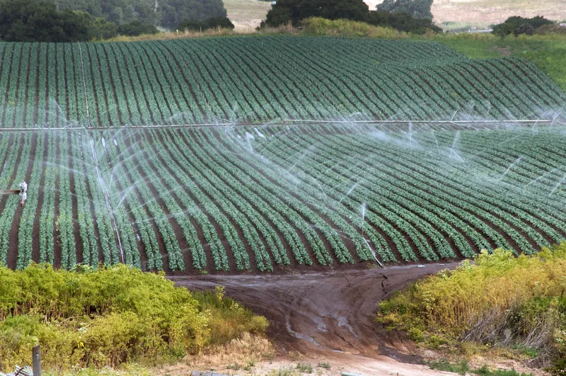 Image: USDA, Sprinkler watering Farm in California, Good Free Photos, Public Domain