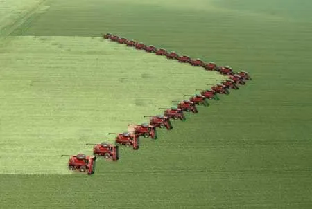 Photo: FoodandYou, 1-soybean-harvest-brazil-co, Flickr Creative commons licence 2.0