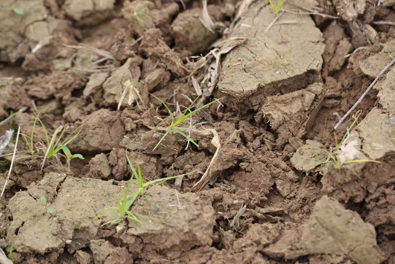 Photo: United Soybean Board, Soil, Flickr, Creative Commons License 2.0