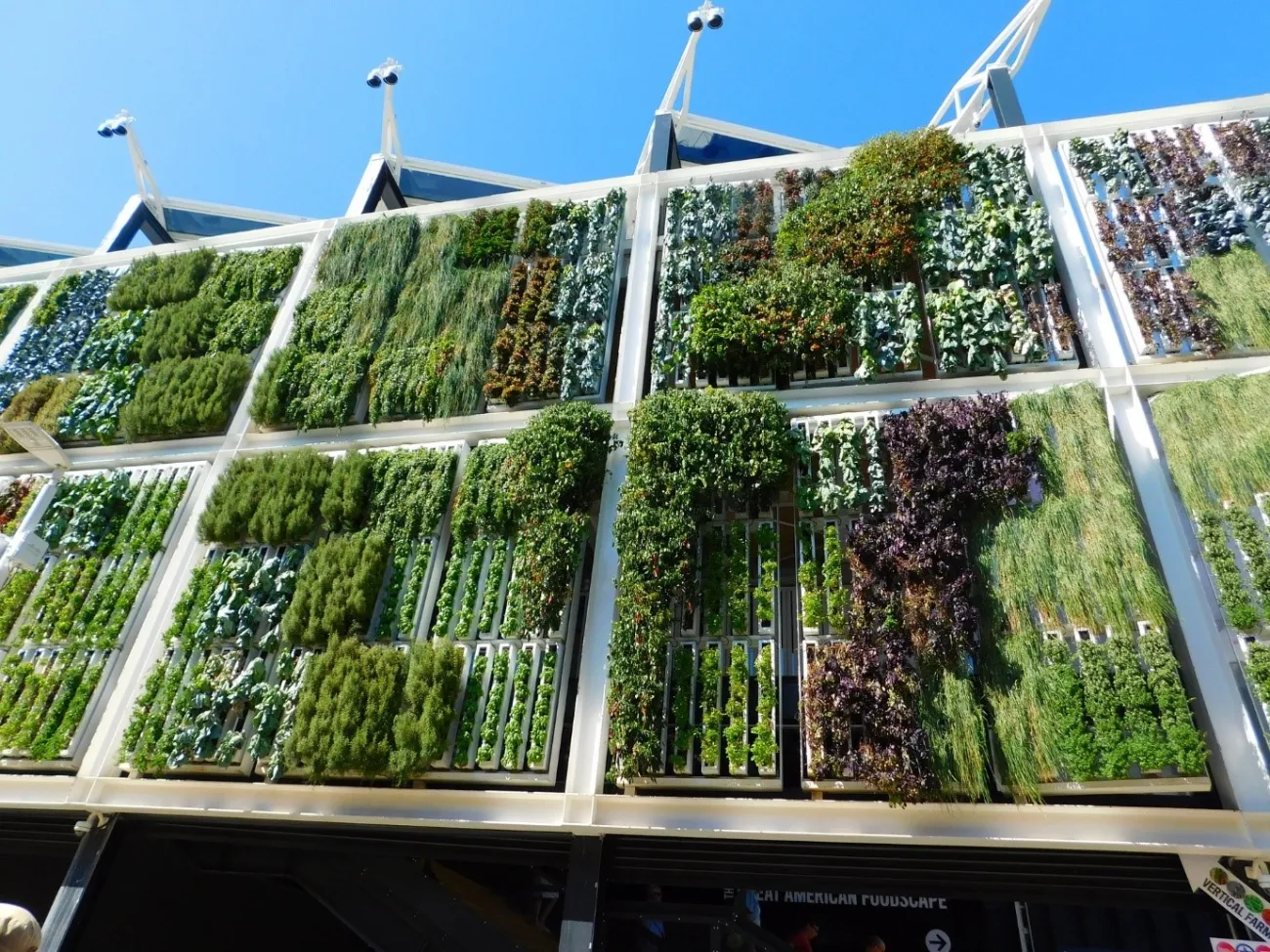 Image: Expo, Milan, Vertical garden by Faverzani via Pixabay