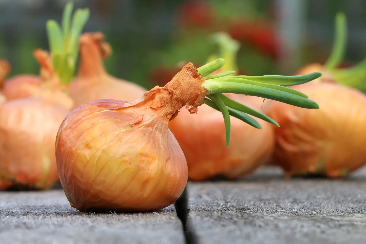 Image: Max Pixel, Harvest farm, CC0 Public Domain