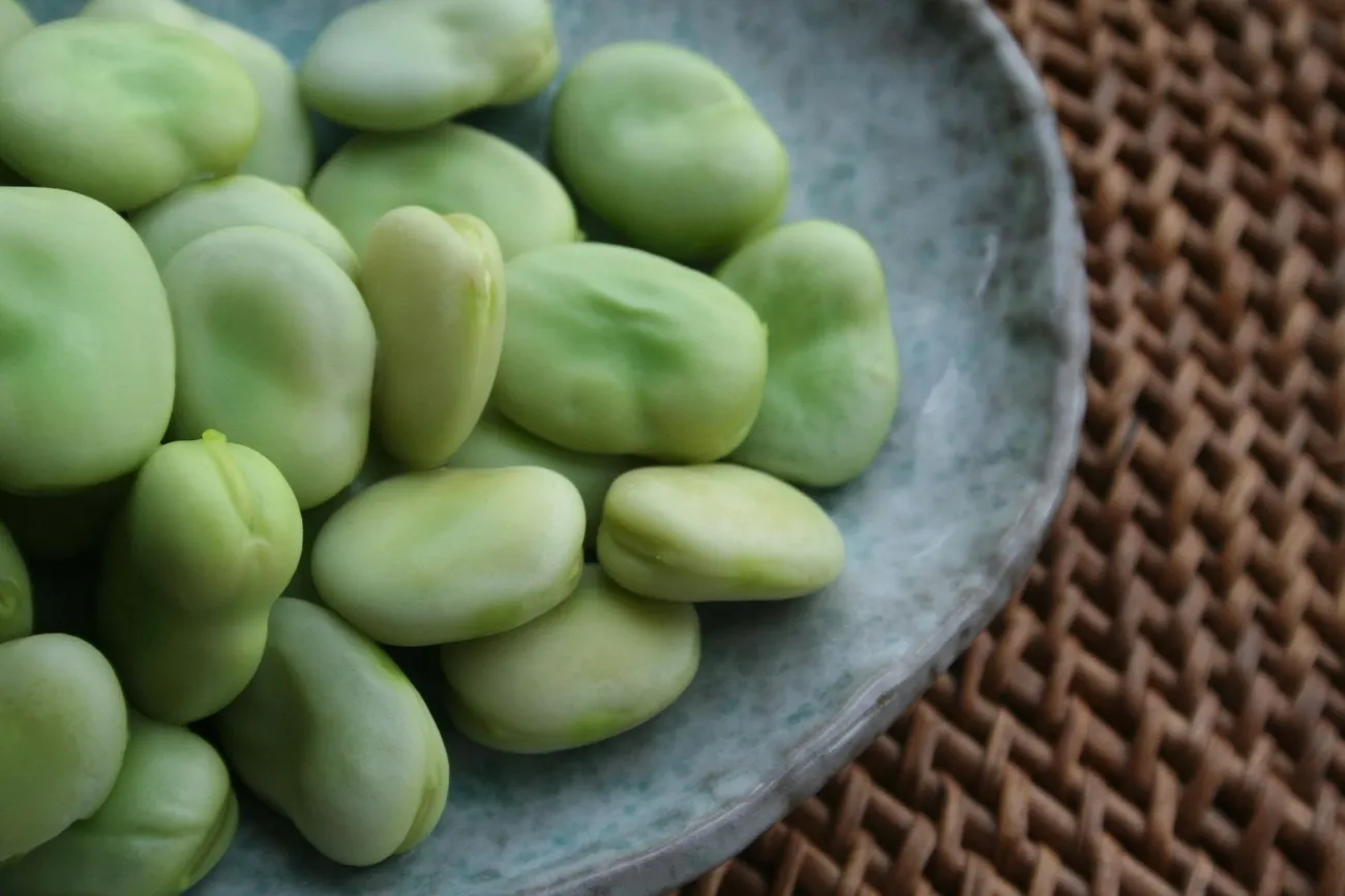 Image: Richard W.M. Jones~commonswiki, Broad beans, shelled and steamed, Wikimedia Commons, Public domain