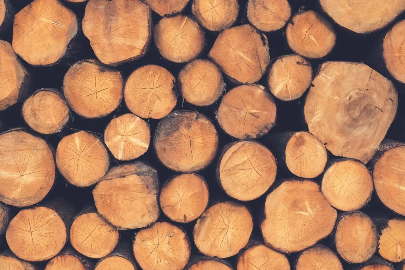 Image: Free-Photos, Wood Logs Lumber, Pixabay, Pixabay Licence