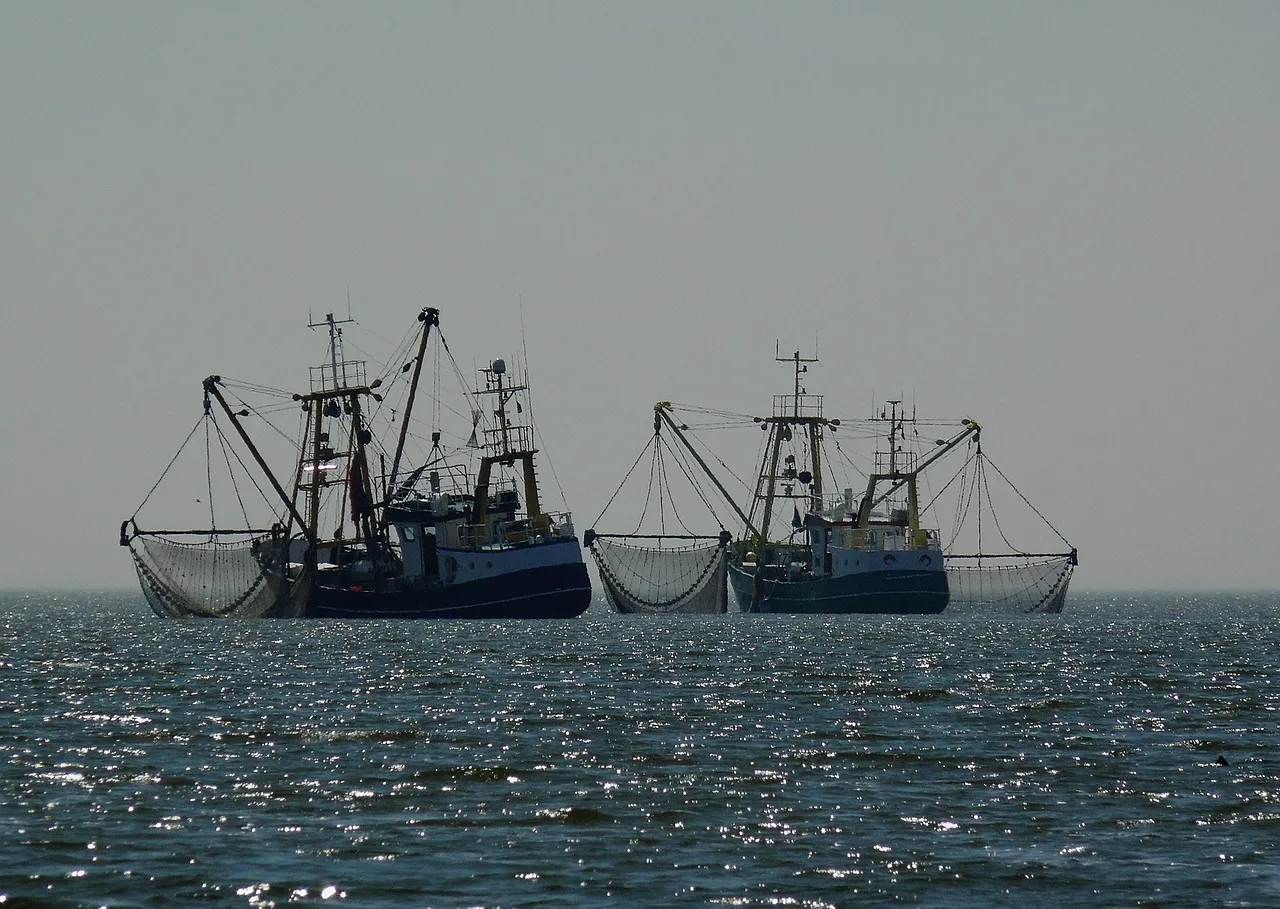 Image: moritz320, Boats Fisherman Fishing Boat, Pixabay, Pixabay Licence