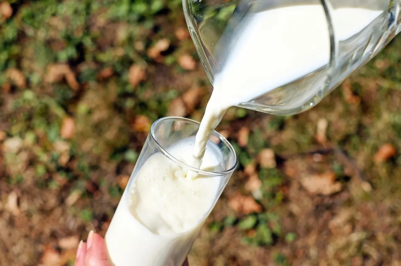 Image: Couleur, Glass milk white cow’s, Pixabay, Pixabay Licence