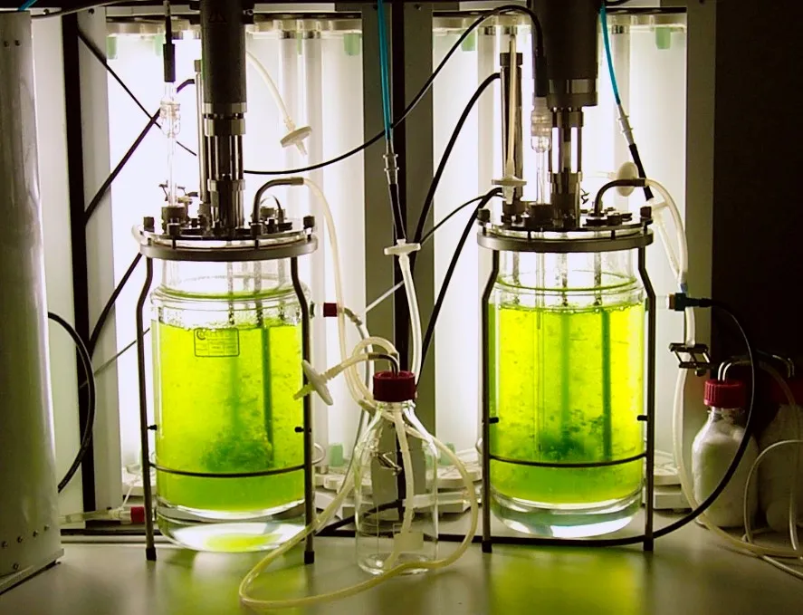 Image: Eva Decker, Moss bioreactor, Wikimedia Commons, Creative Commons Attribution-Share Alike 1.0 Generic