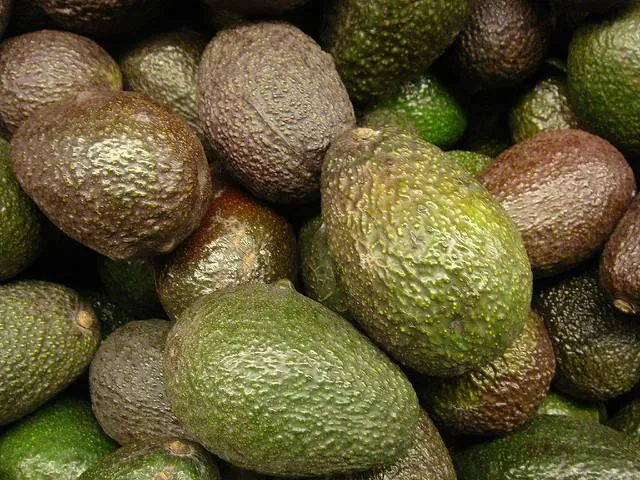Image: olle svensson, avocado, Flickr, Creative Commons Attribution 2.0 Generic