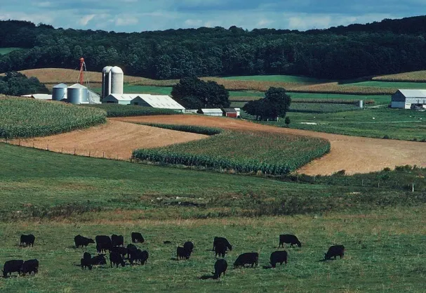 Photo credit: USDA (Flickr, creative commons licence 2.0).