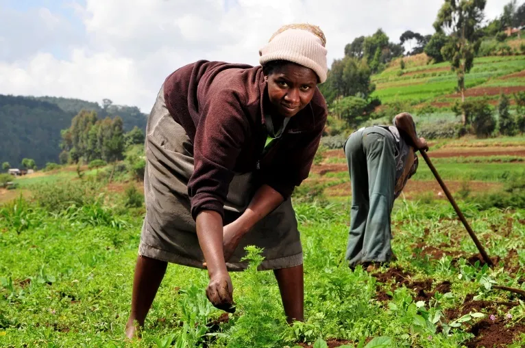 (Photo: Neil Palmer (CIAT) Flickr creative commons licence 2.0)