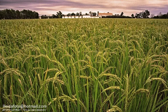 Photo: Sonla, Flickr, creative commons licence 2.0